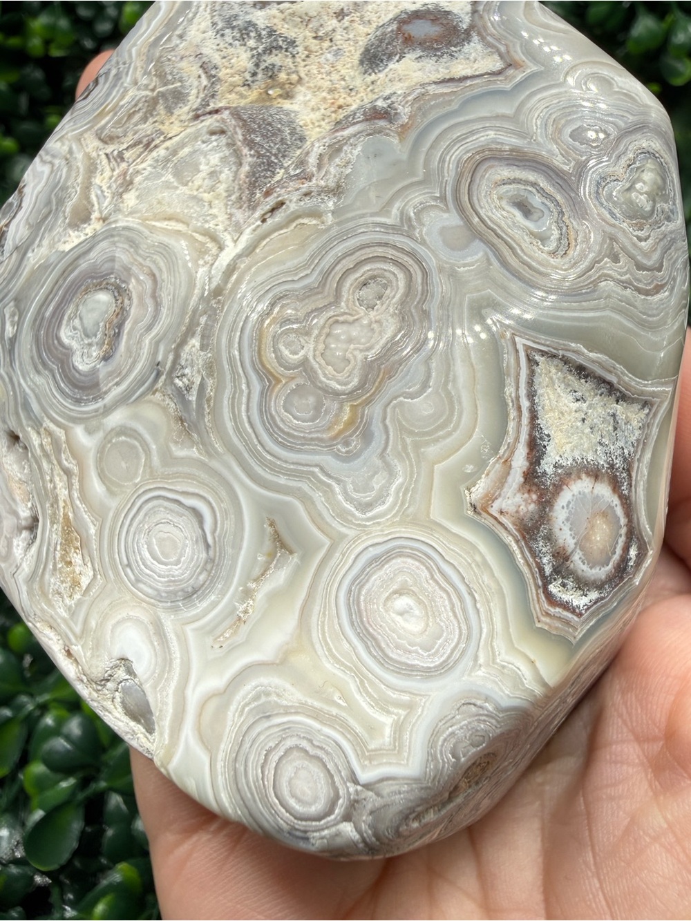Gorgeous Mexican Crazy Lace Agate Polished Freeform
